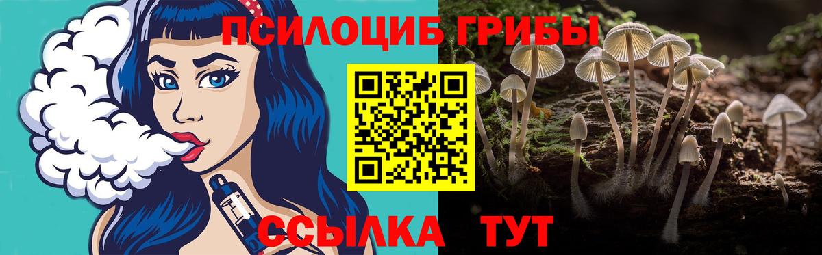 Урюпинск  Псилоцибиновые грибы Psilocybe  Вход с VPN 